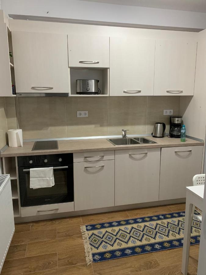Welcoming Gemini Apartment 1 Сибиу Экстерьер фото